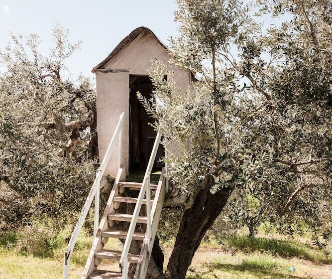 Agriturismo Podere L'agave