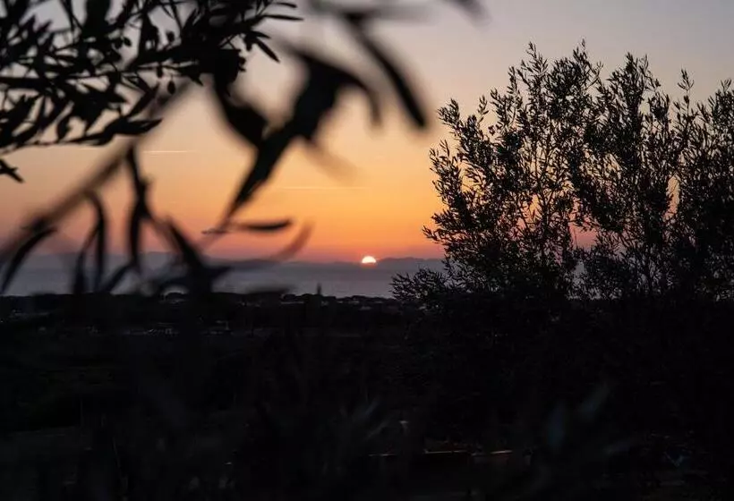 Agriturismo Podere L'agave