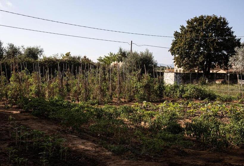 Agriturismo Podere L'agave