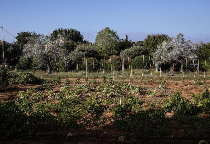 Agriturismo Podere L'agave