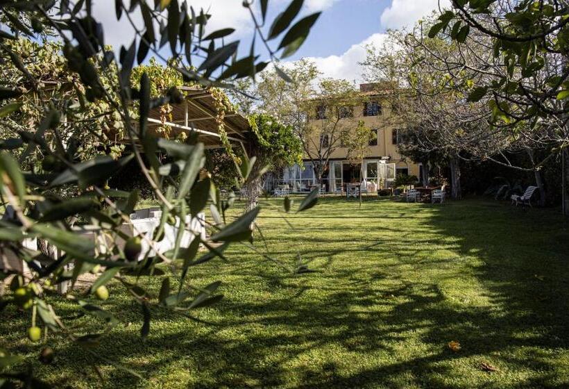 Agriturismo Podere L'agave