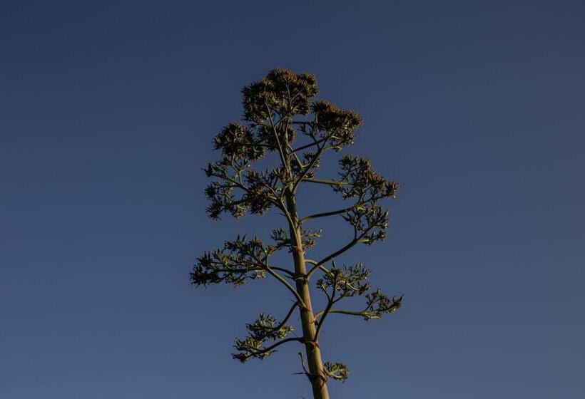 Agriturismo Podere L'agave