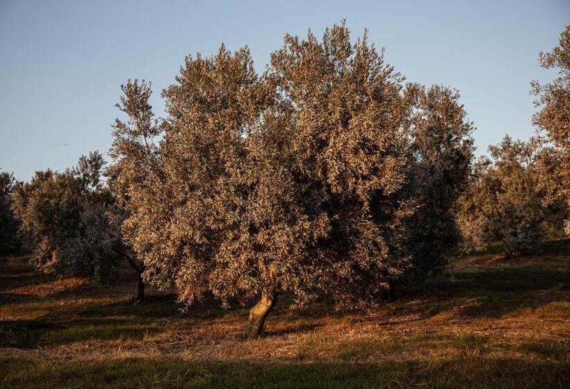 Agriturismo Podere L'agave