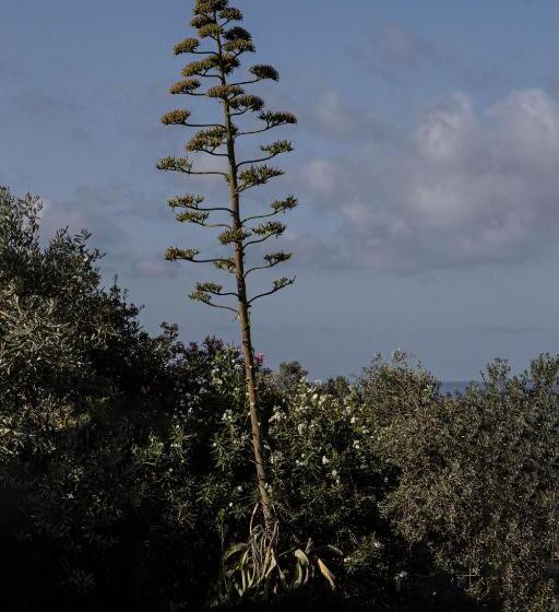 Agriturismo Podere L'agave