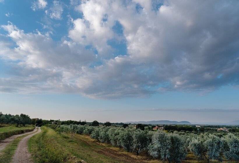 Agriturismo Podere L'agave