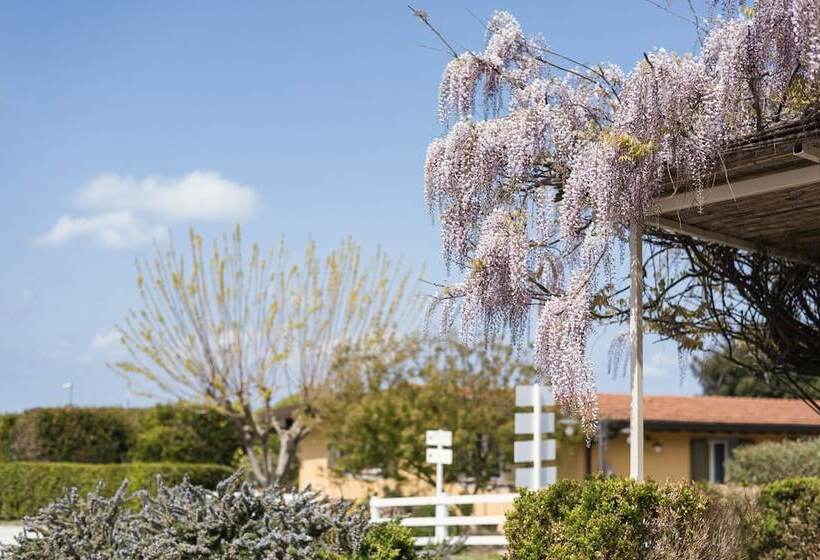 Agriturismo Podere L'agave