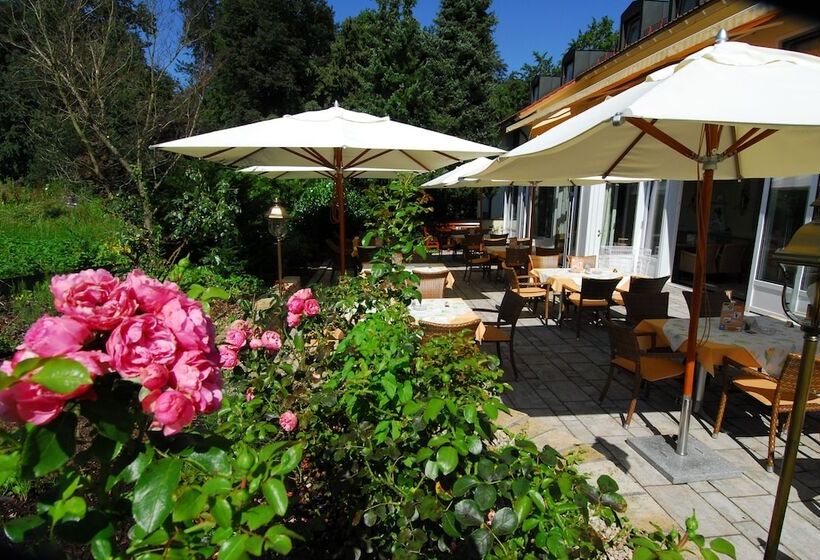 Отель Dreiflüssehof