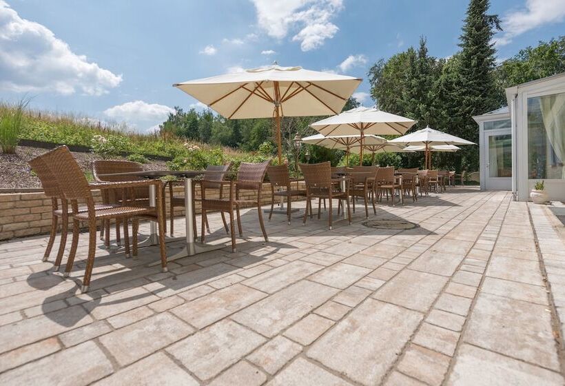 Отель Dreiflüssehof