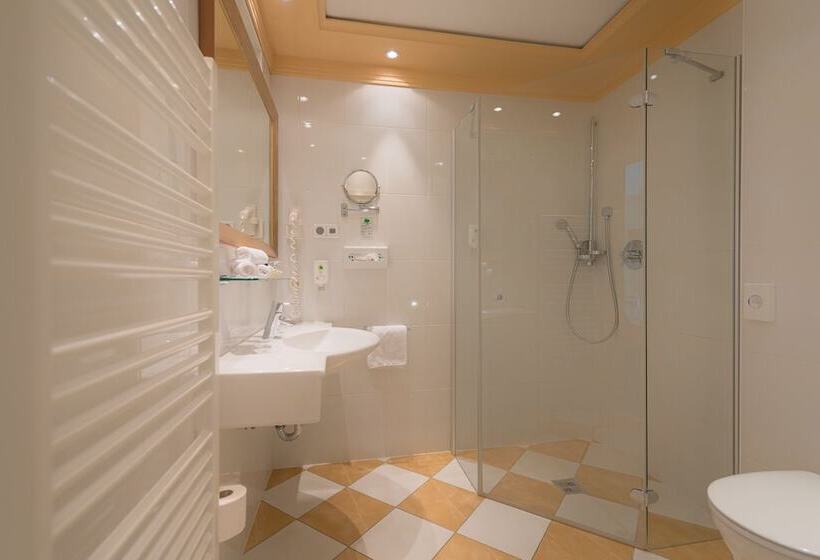 Отель Dreiflüssehof