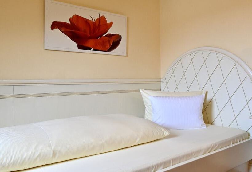 Отель Dreiflüssehof