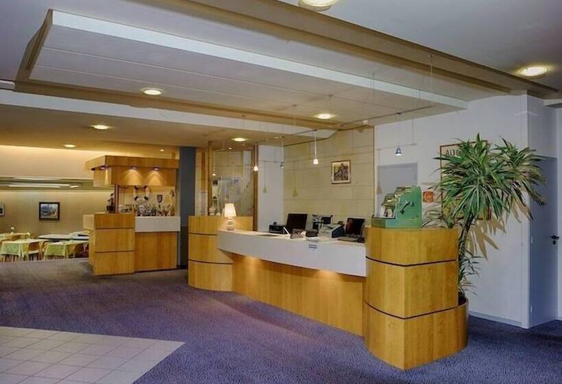 Hotel Hôtel Dupleix   Hyper Centre   Parking Et Garage Gratuit