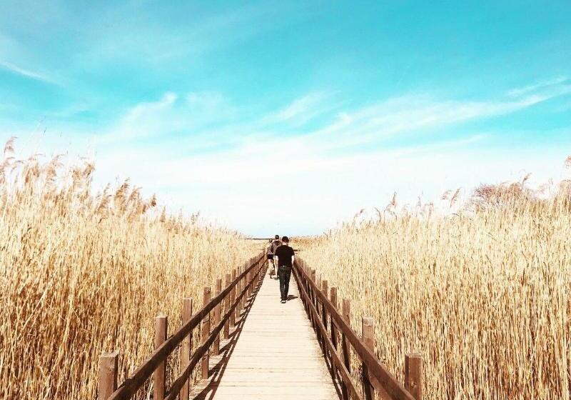 בית מלון כפרי L Miskarp