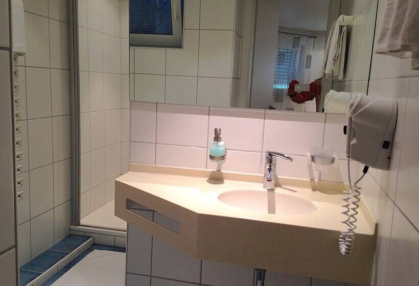 פנסיון Gästehaus Alba Sie Bekommen Garantiert Eintrittskarten Für Den Europapark Und Für Rulantica über U