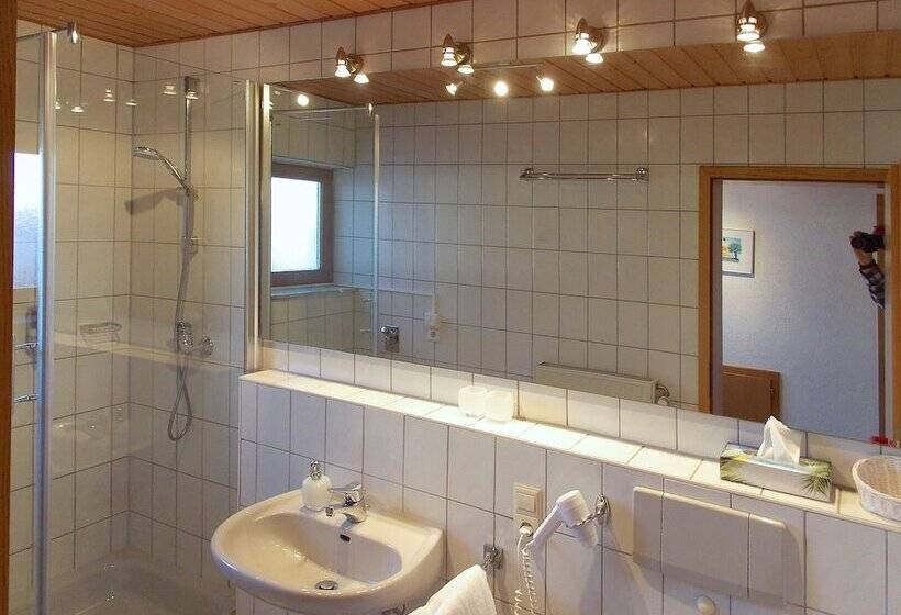 פנסיון Gästehaus Alba Sie Bekommen Garantiert Eintrittskarten Für Den Europapark Und Für Rulantica über U