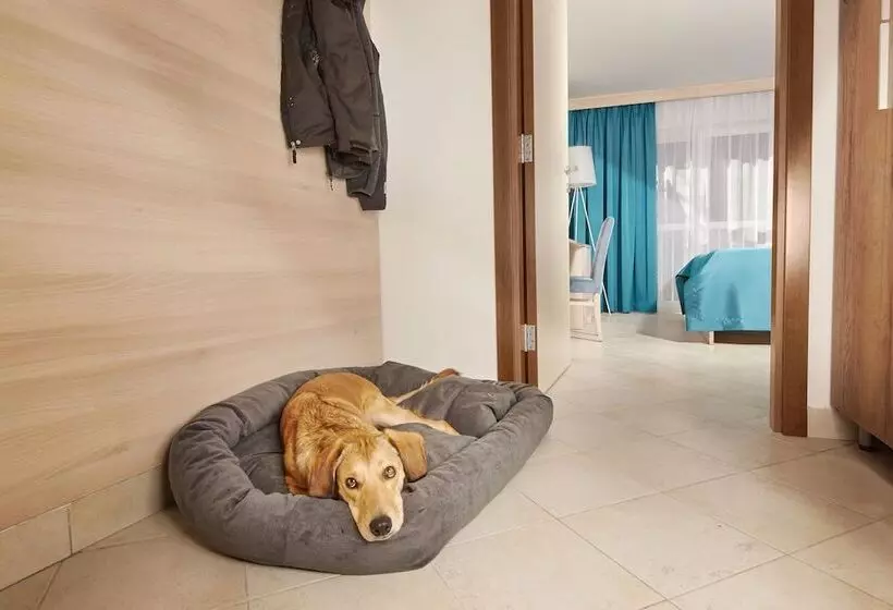 Villa Without Balcony   Hotel & Resort Adria Ankaran