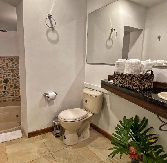 هاستل Avalon Hotel Campestre