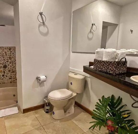 ユースホステル Avalon Hotel Campestre