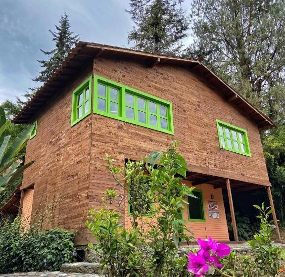 هاستل Avalon Hotel Campestre