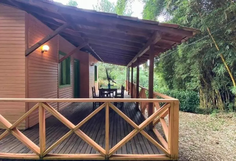 ユースホステル Avalon Hotel Campestre