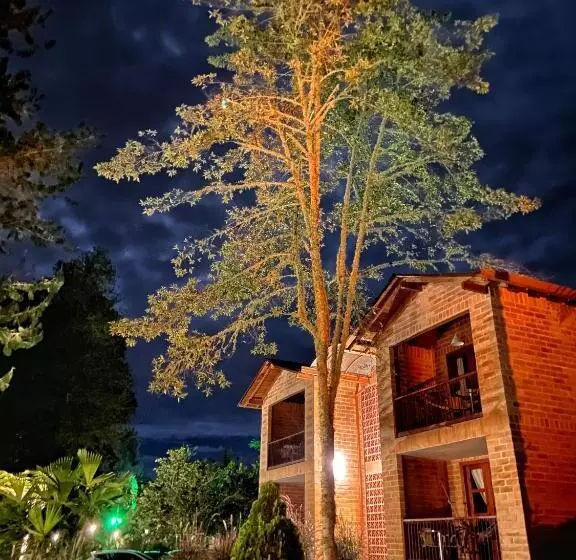 ユースホステル Avalon Hotel Campestre