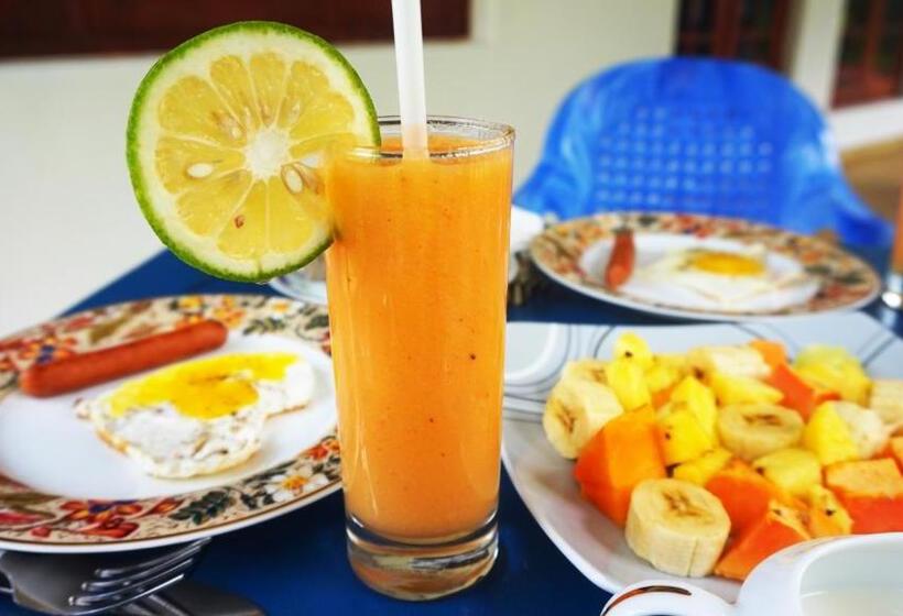 旅馆 Boho Garden Guest House