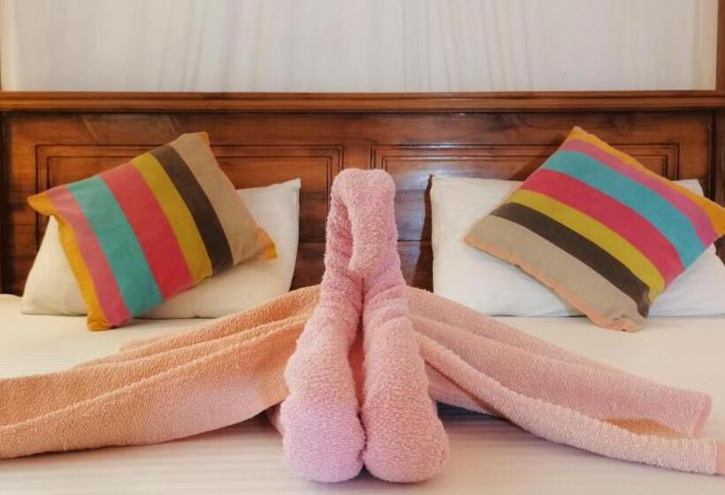 旅馆 Boho Garden Guest House