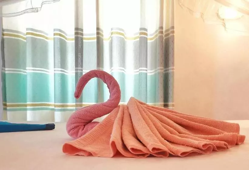 هاستل Boho Garden Guest House