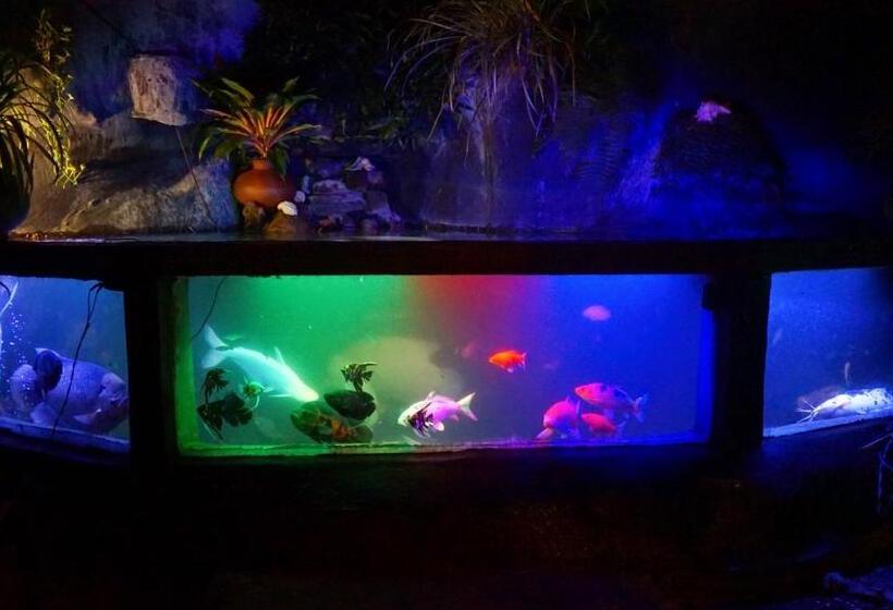 旅馆 Boho Garden Guest House