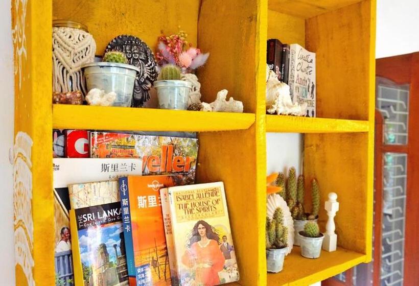 旅馆 Boho Garden Guest House