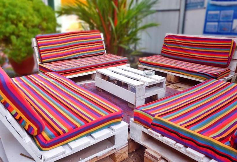 旅馆 Boho Garden Guest House