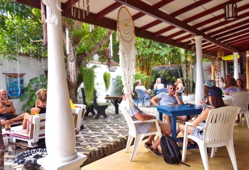 旅馆 Boho Garden Guest House