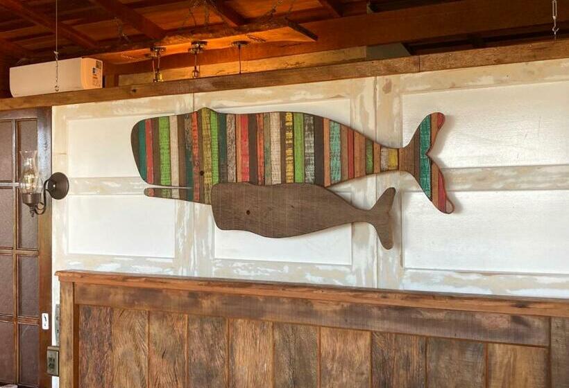 Schronisko Pousada Praia Do Farol