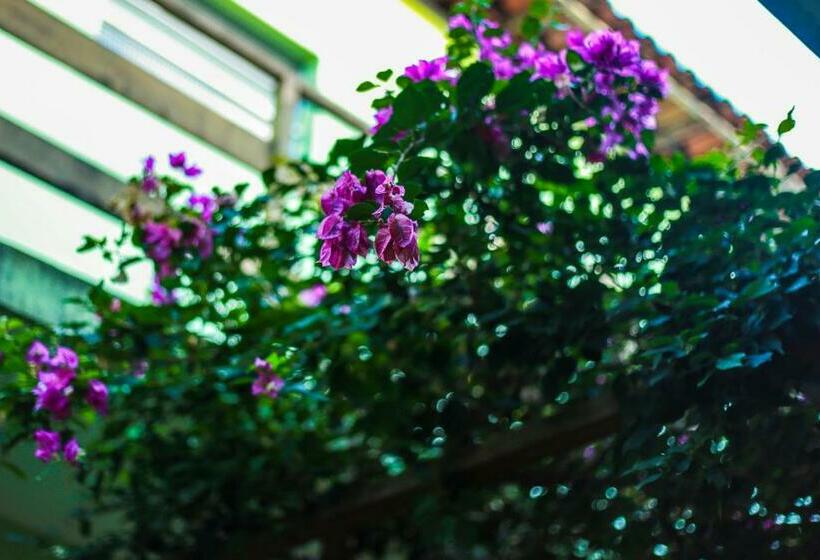 هاستل Pousada Vila Moana