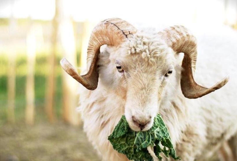 호텔 Gut Hügle Jugendzimmer