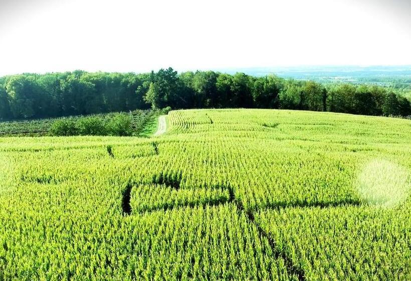 호텔 Gut Hügle Jugendzimmer