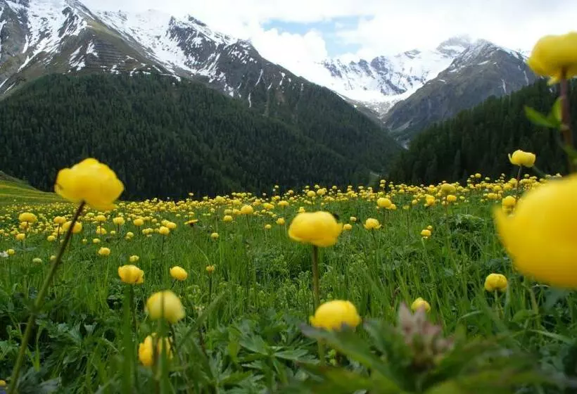 پانسیون Garni Soldanella