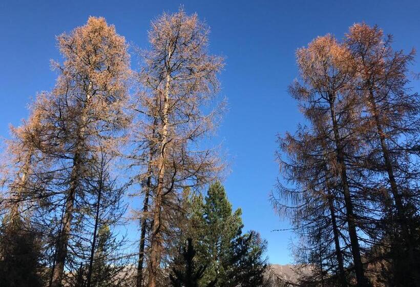 Panzió Garni Soldanella