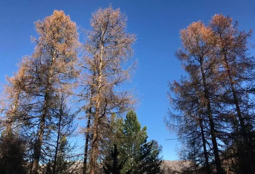 پانسیون Garni Soldanella