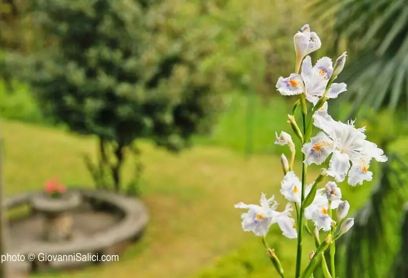 Santangela Hostel & Rooms