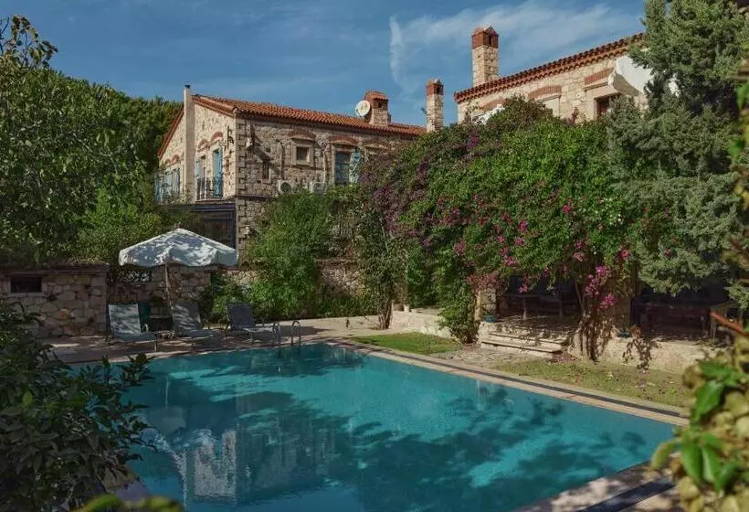 Hotelli Alacati Zeytin Konak