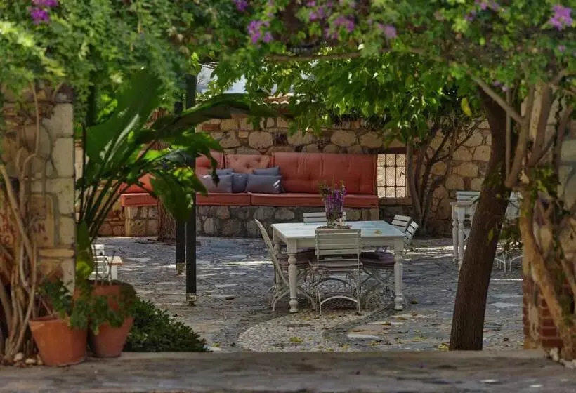 Hotelli Alacati Zeytin Konak