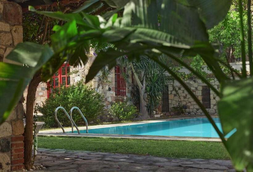 فندق Alacati Zeytin Konak