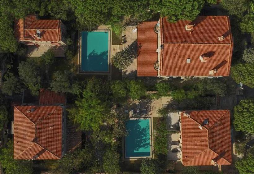 فندق Alacati Zeytin Konak