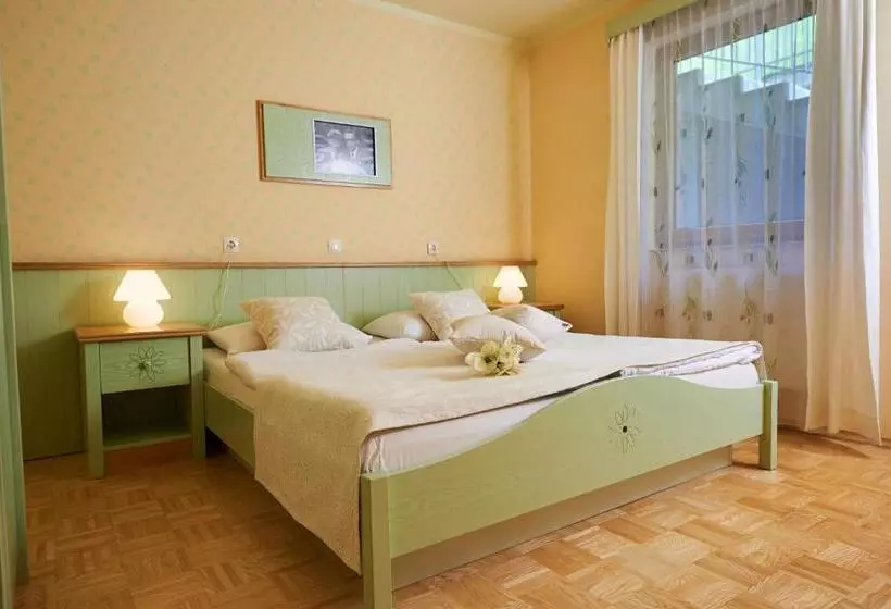 هتل Eco Terme Snovik, Kamnik