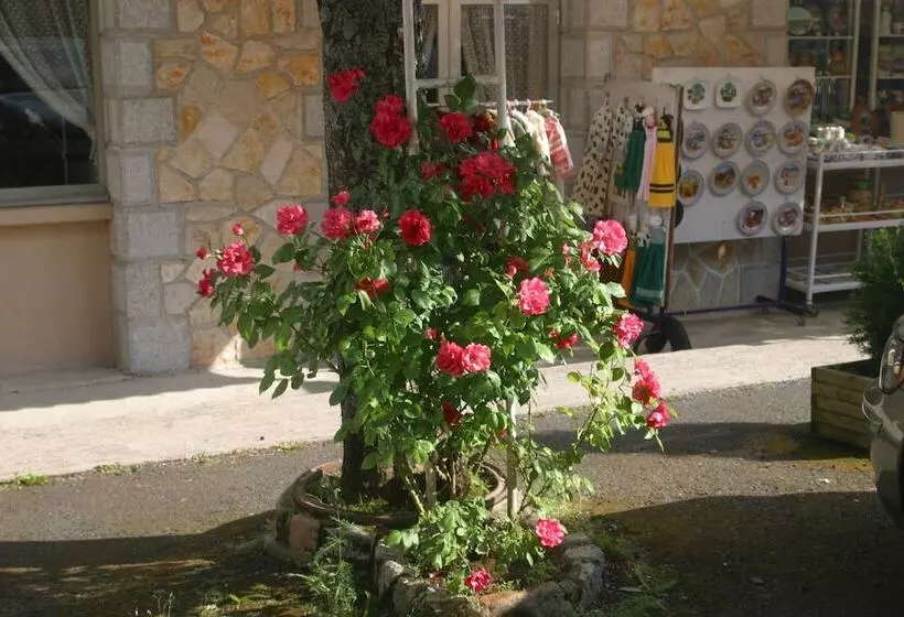 酒店 Garabit Hôtel