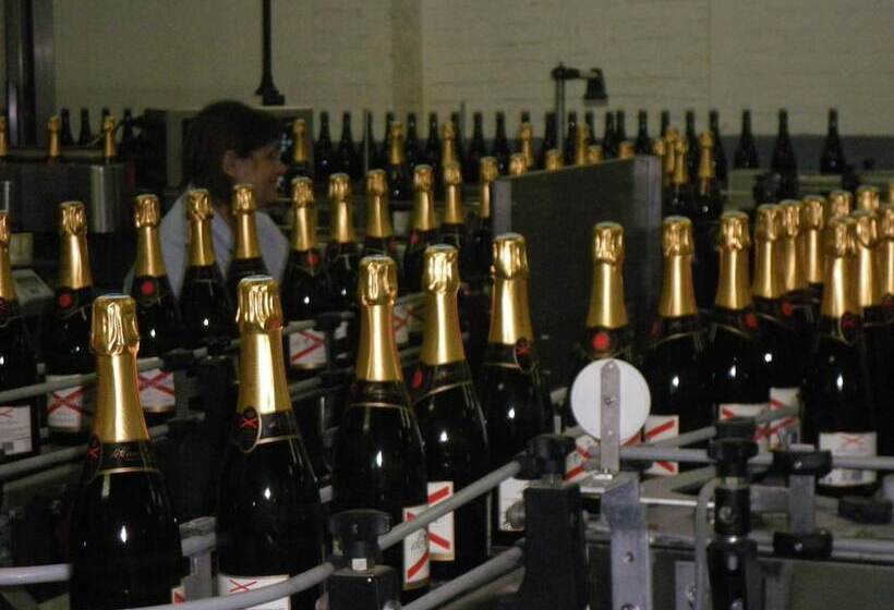 酒店 Auberge De L Omois