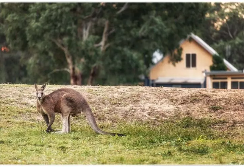 ホテル Madigan Wine Country Cottages