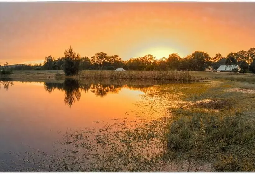 ホテル Madigan Wine Country Cottages