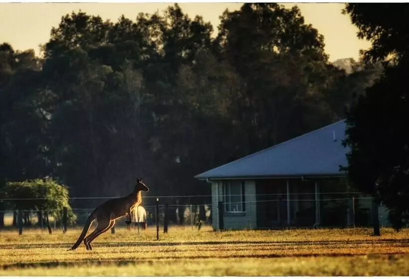 ホテル Madigan Wine Country Cottages
