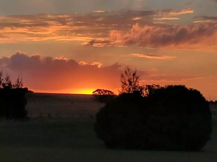 ホテル Madigan Wine Country Cottages